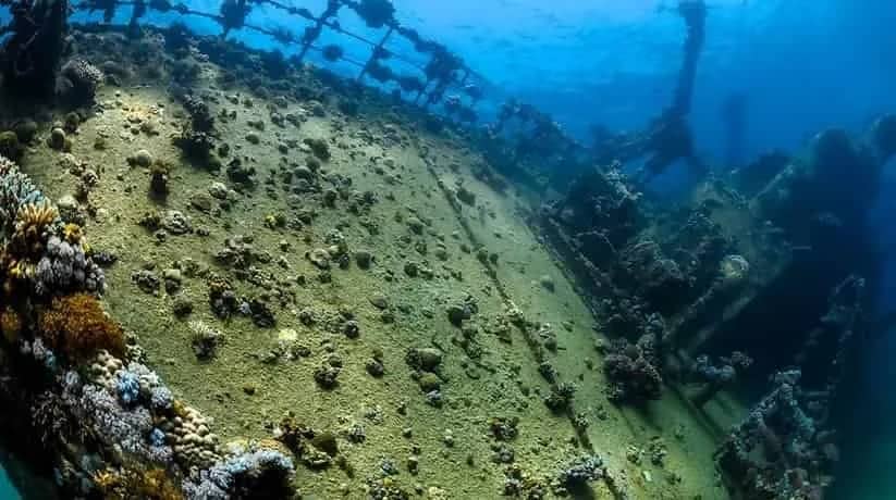 Marsa Alam Wreck Diving & Underwater Archaeology Guide