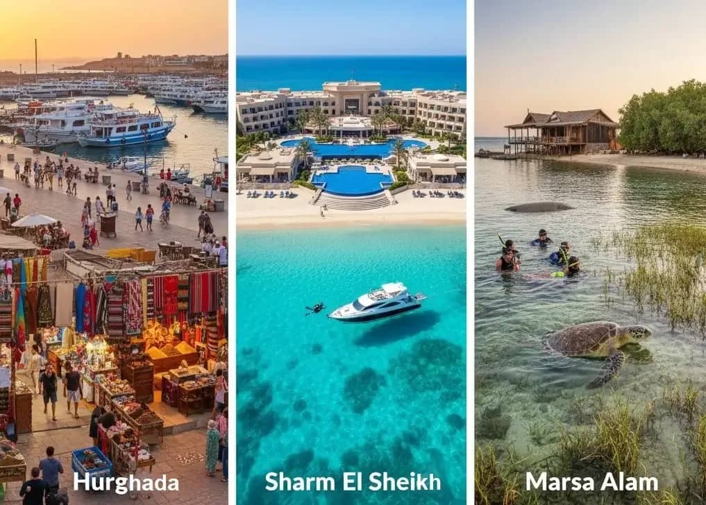 Time Your Red Sea Trip: Weather, Diving, Deal Windows