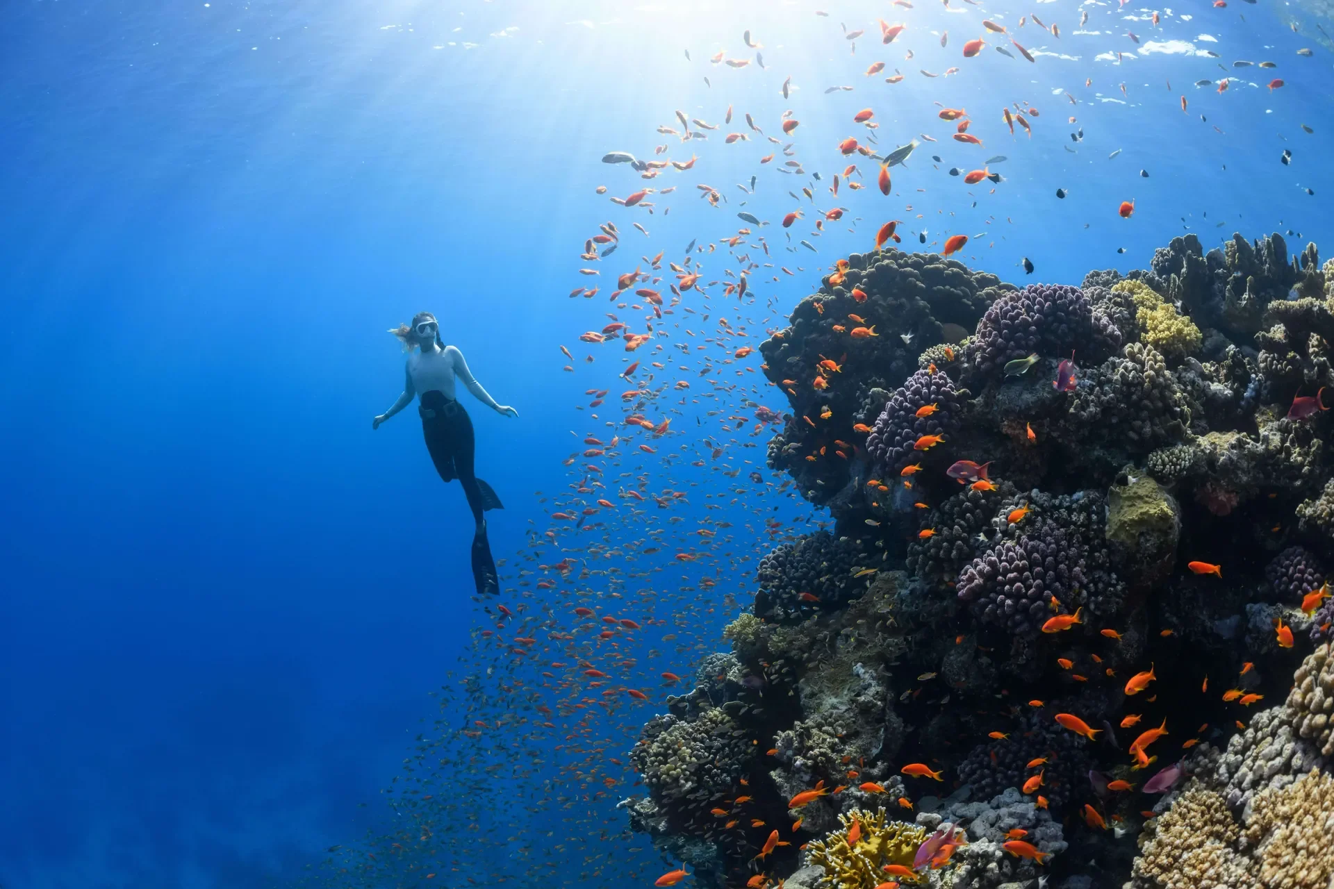 Immersioni e snorkeling nel Mar Rosso: da Hurghada a Sharm El Sheikh
