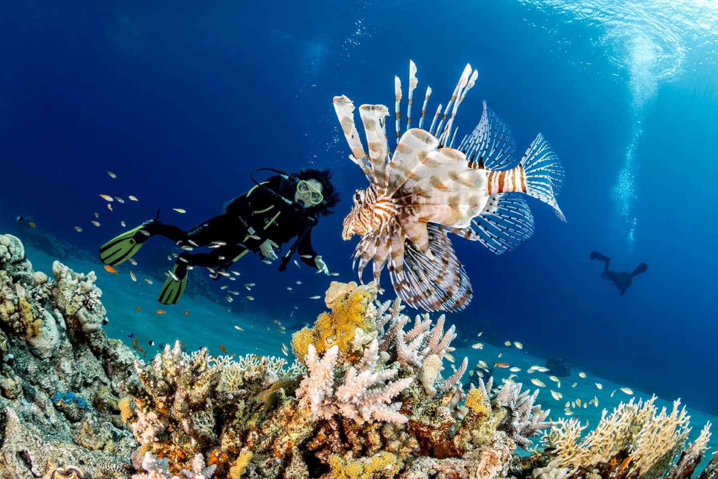 Sustainable Travel in the Red Sea: 5 Ways to Travel Responsibly in 2026