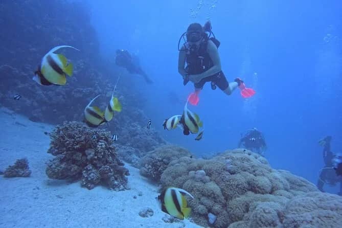 Diving for Beginners: The Best 1-Day 'Intro' Courses in Hurghada