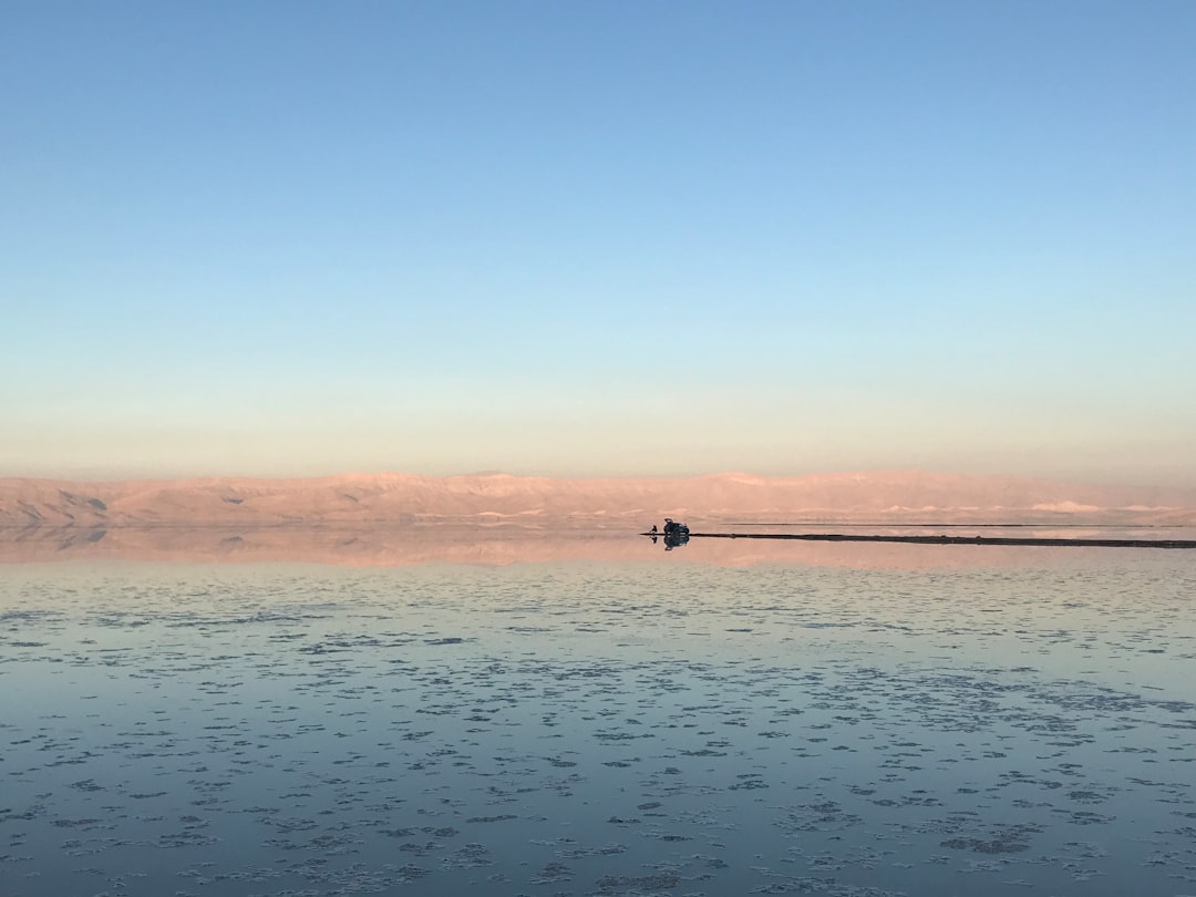 Swim with Sharks in the Red Sea: Adventure for Thrill Seekers