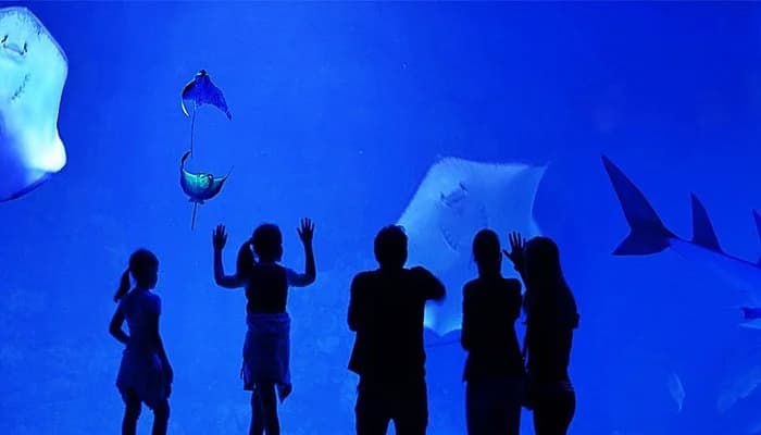 Hurghada Grand Aquarium - Top attraction
