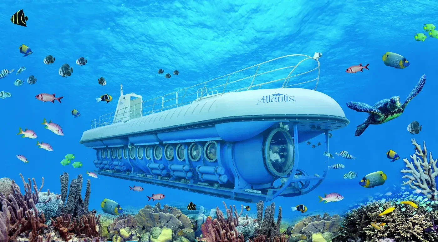 Red Sea Submarine & Semi‑Sub: Safety & Responsible Travel