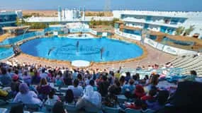 Family-Friendly Tours: Hurghada & Makadi Bay Snorkel Days