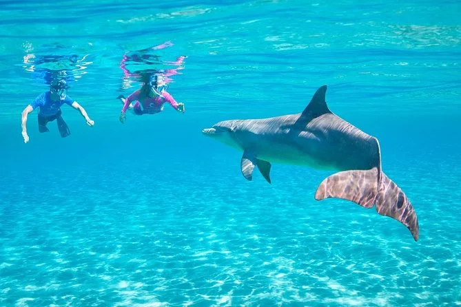 Hurghada 2025: 7 Family Tours for Easy Red Sea Days