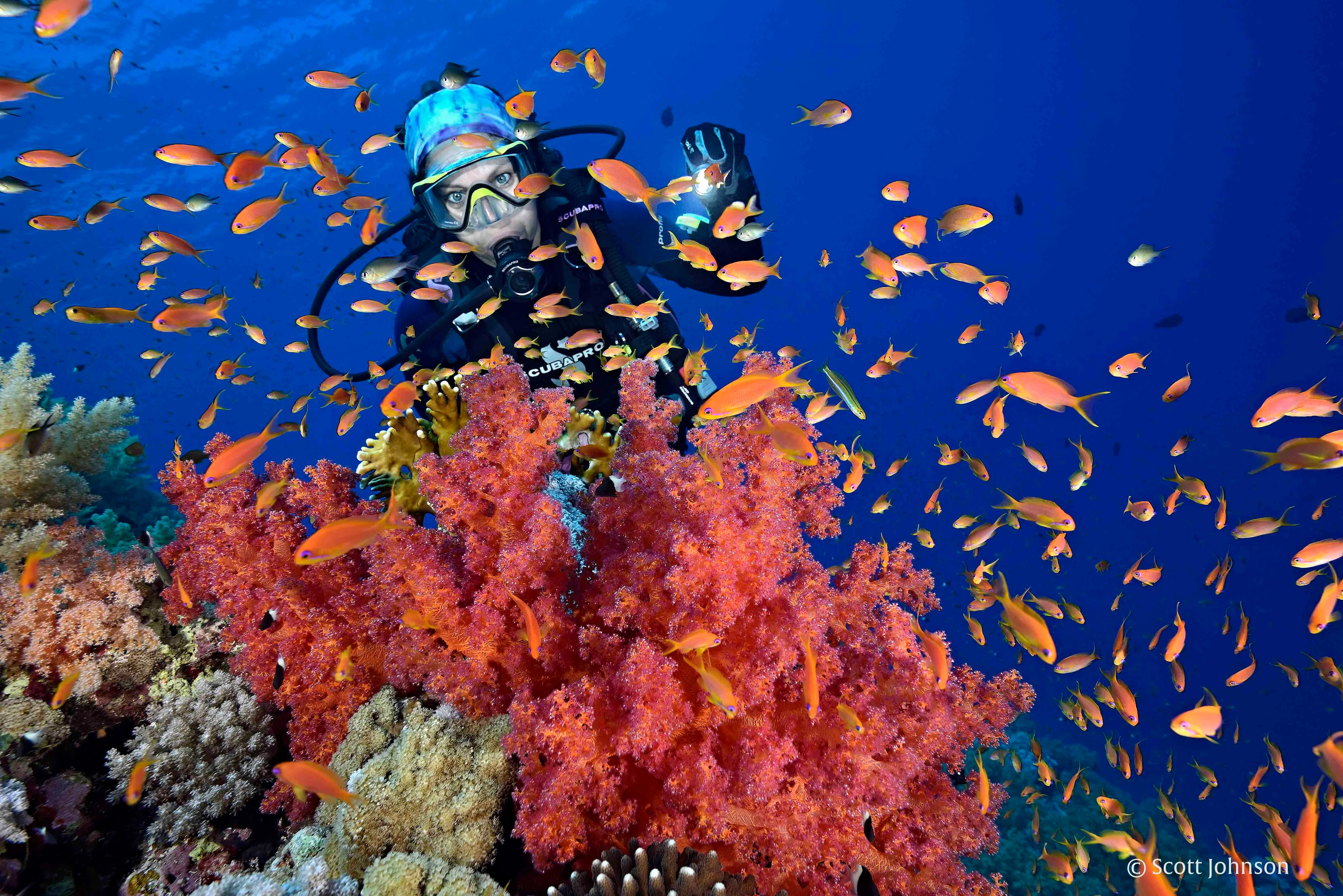 Hurghada Snorkeling & Diving: What to Expect + Checklist