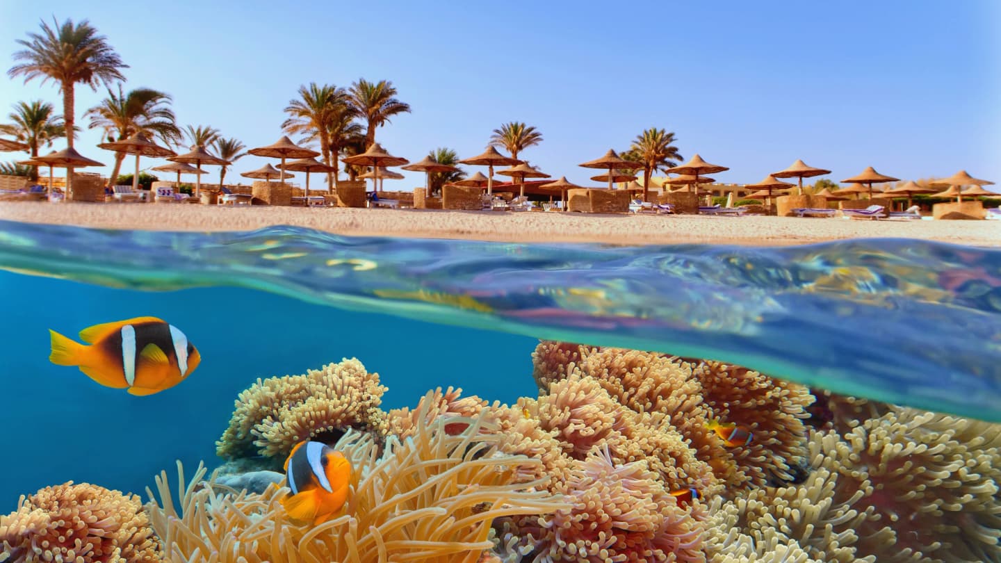 Hausriff-Hotels am Roten Meer in Makadi Bay und Hurghada