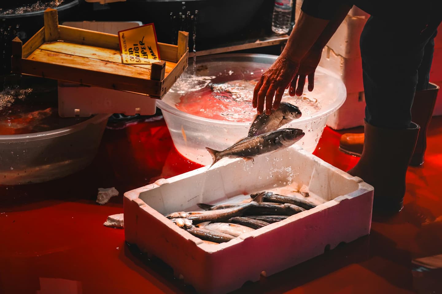 Al-Balad Jeddah: Discover Red Sea Culture