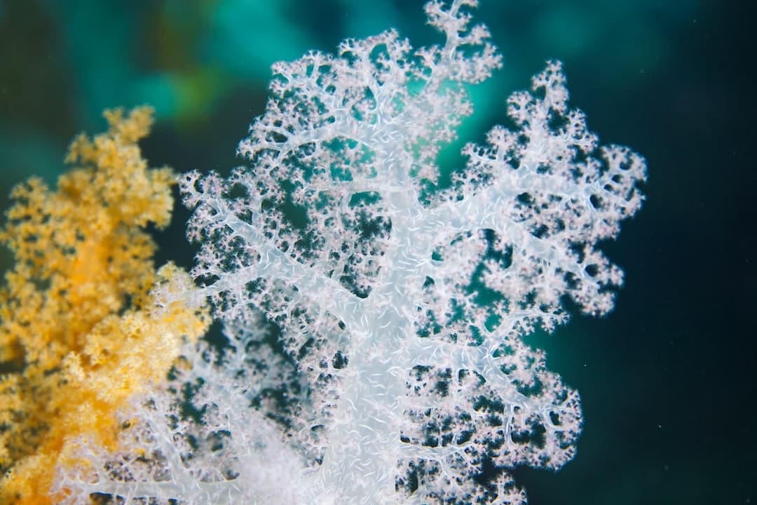 Best Red Sea Photo Spots