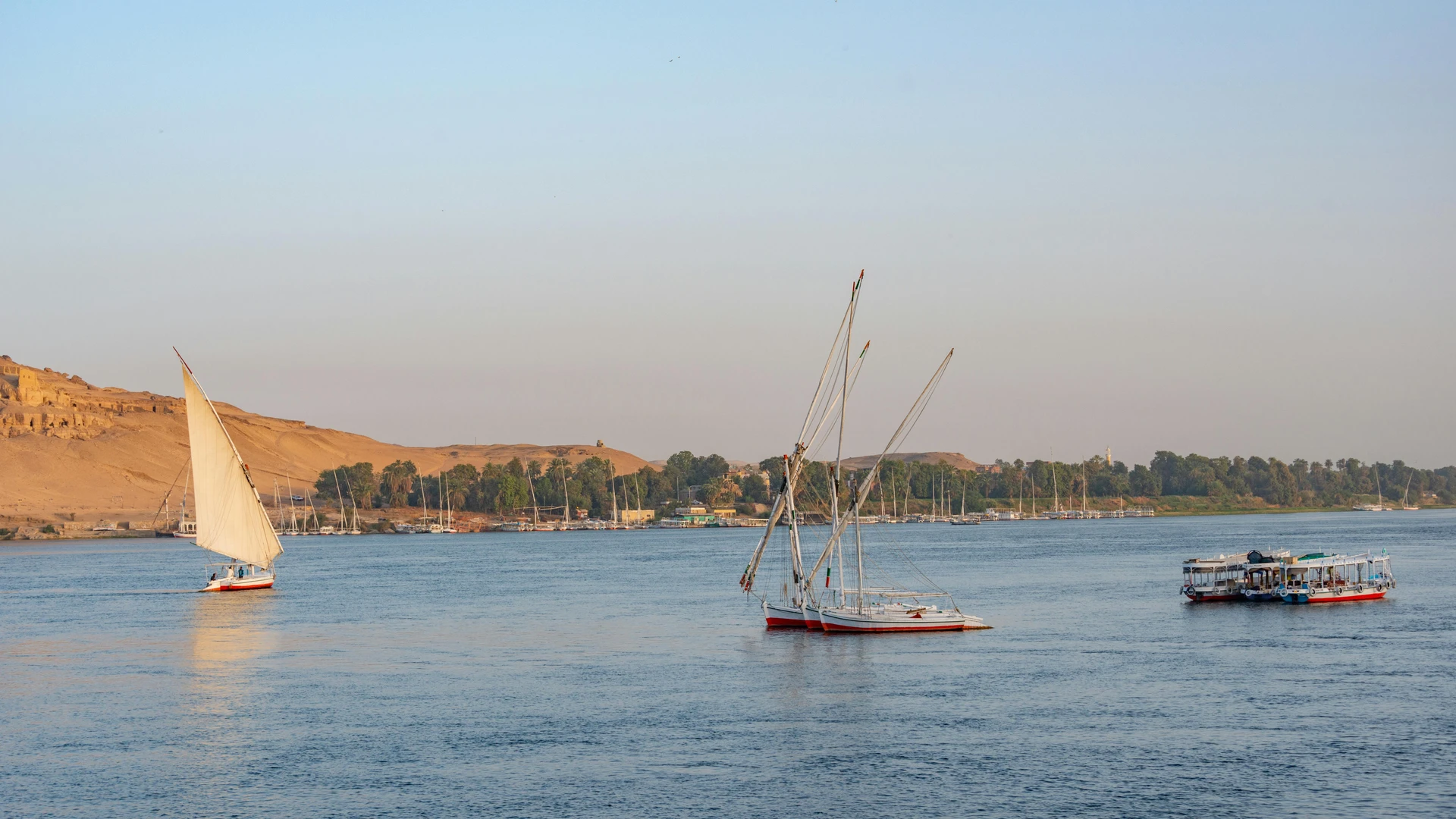 Aswan, Egypt - Classic sailboats glide along the nile with a scenic backdrop of aswan's desert landscape.