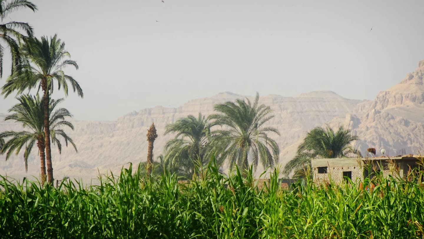 Safaga, Egypt - House in a field