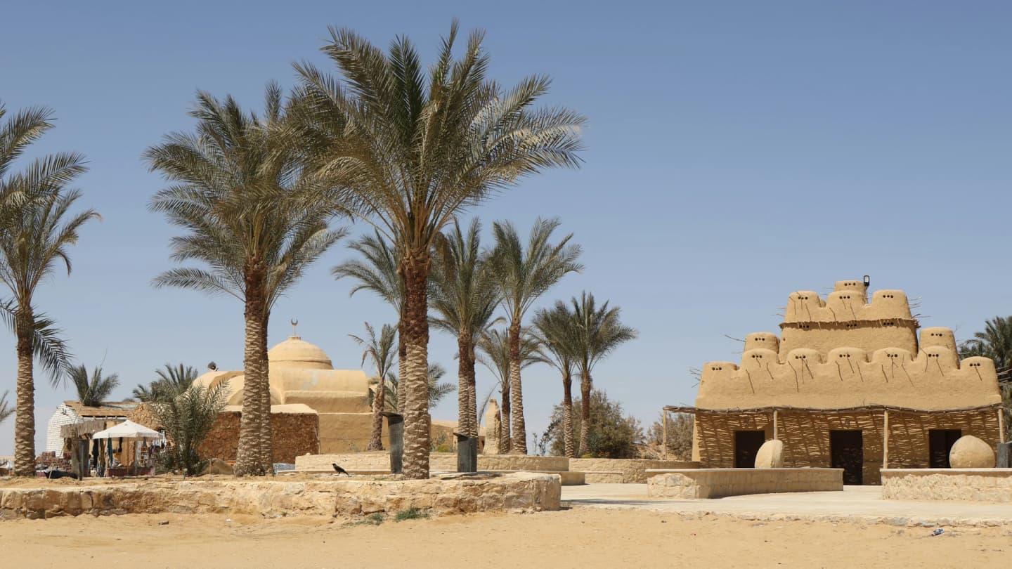 Safaga, Egypt - Desert with palm trees and a building