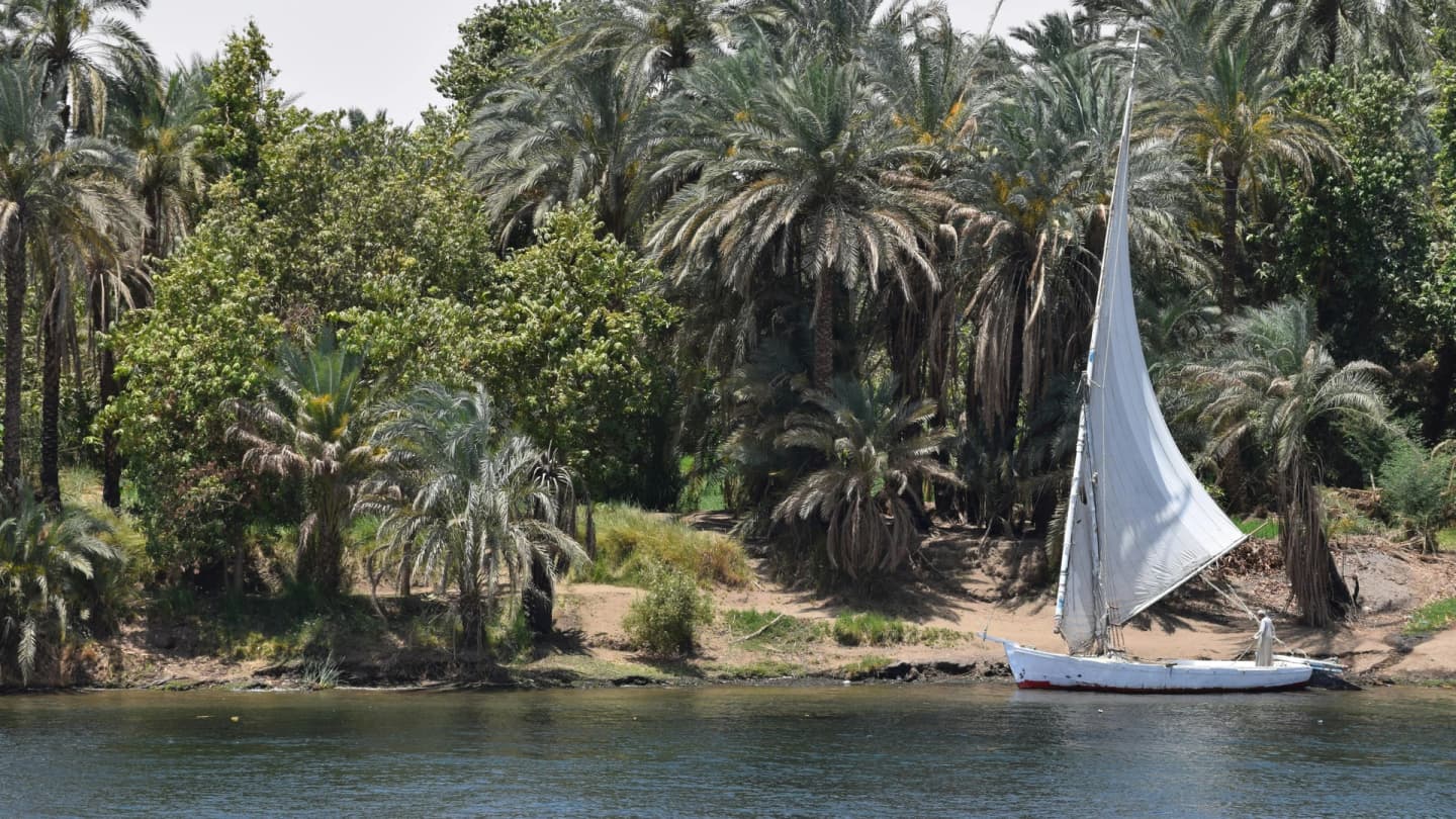 Soma Bay, Egypt - Traditional sailboat on the nile surrounded by lush palm trees in egypt's summer scenery.