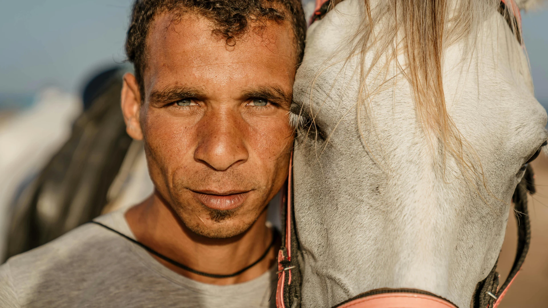 South Sinai, Egypt - Close-up portrait of a man with a white horse in dahab, egypt, showcasing their connection.