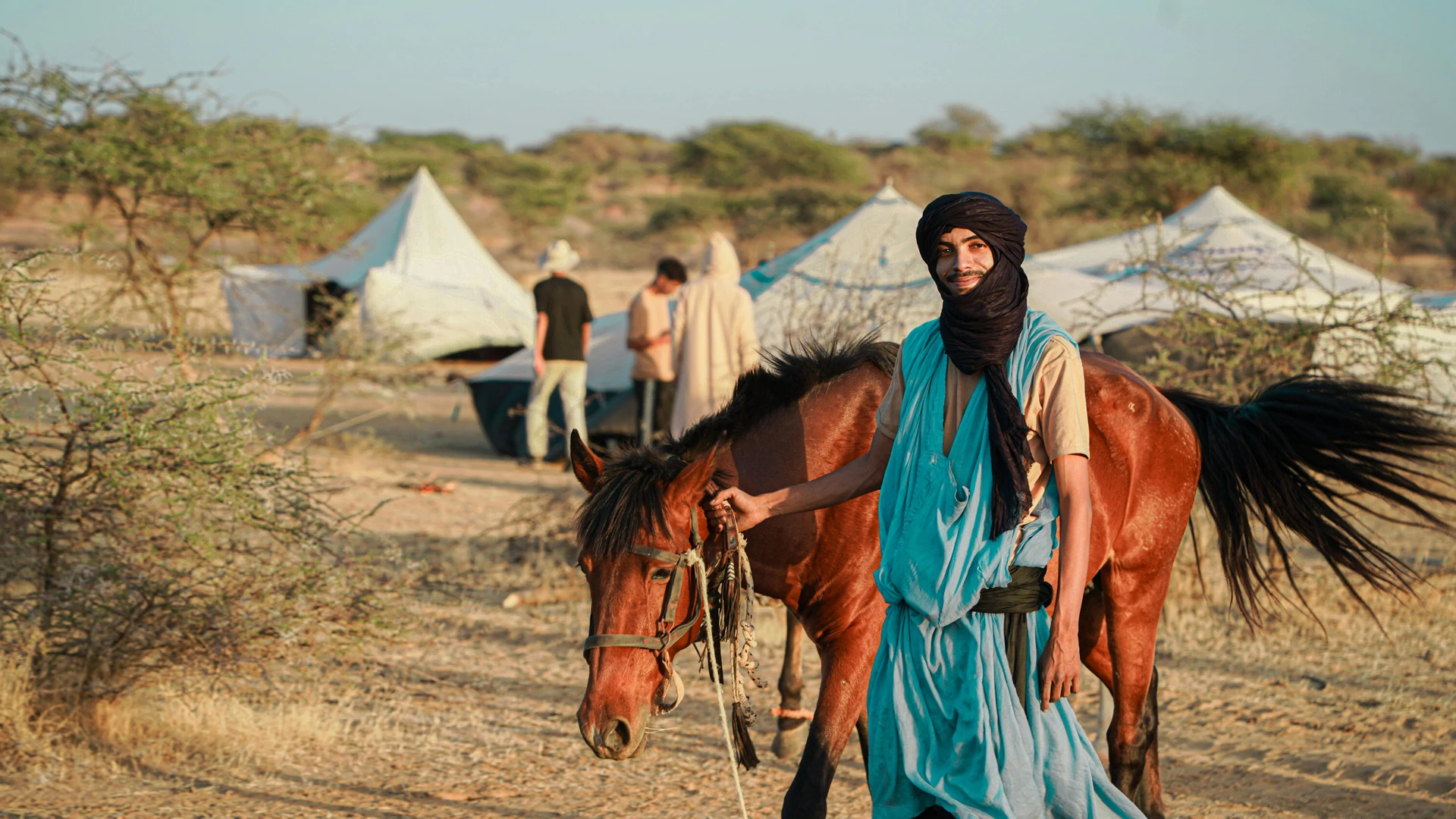 South Sinai, Egypt - Nomad leads a horse through a desert encampment with tents in the background.