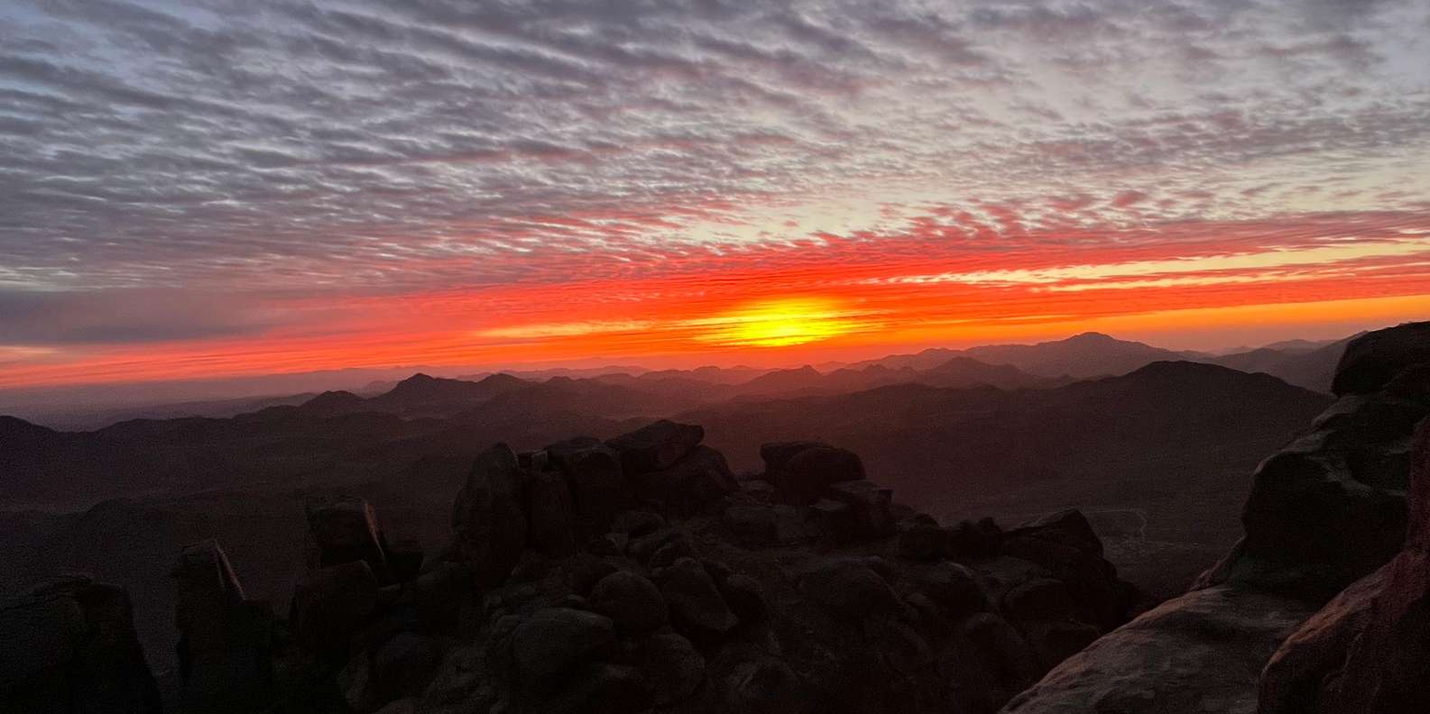 صورة التقييم 3