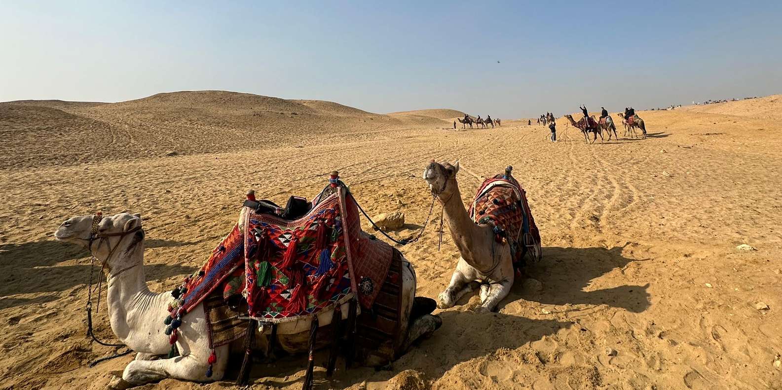 Immagine recensione 1