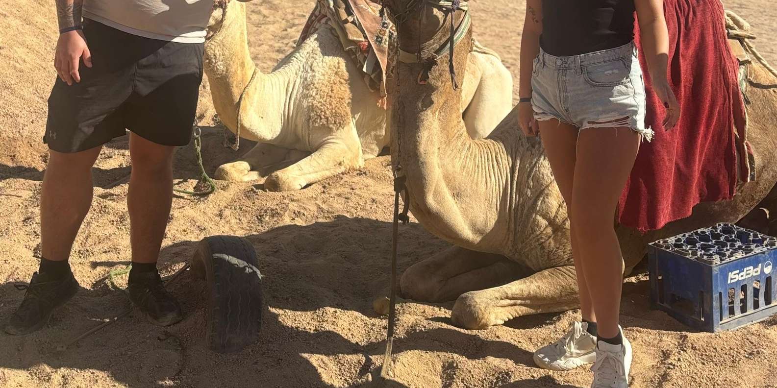 Изображение отзыва 2