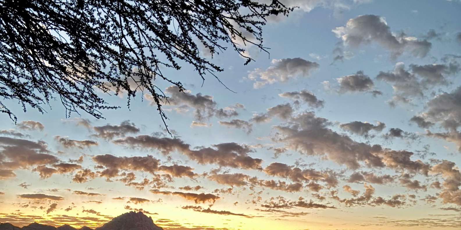 Изображение отзыва 2