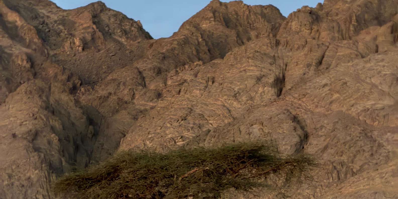 Изображение отзыва 3