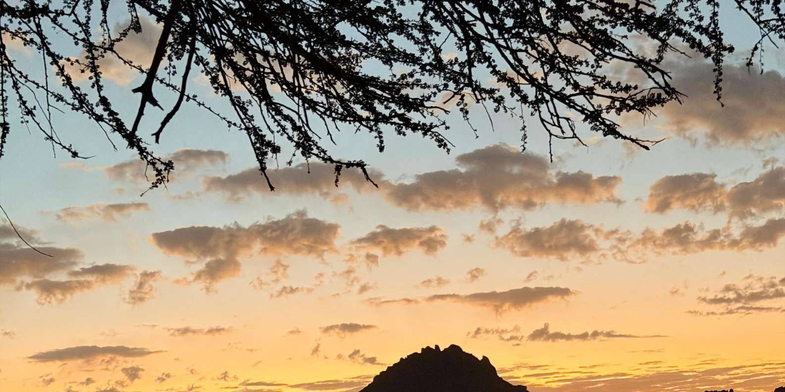 Изображение отзыва 2