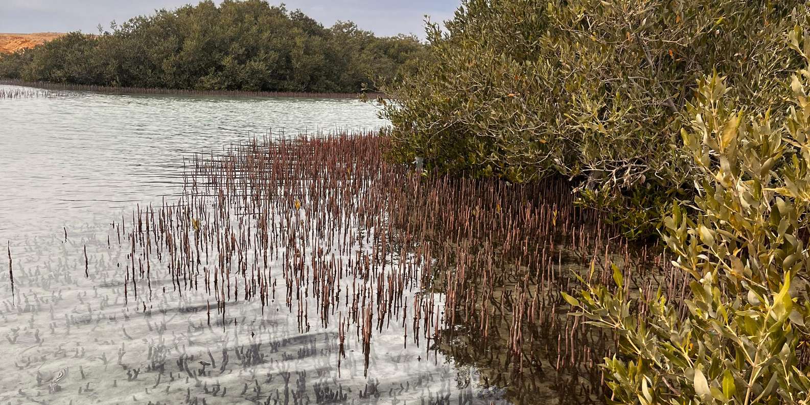 صورة التقييم 2