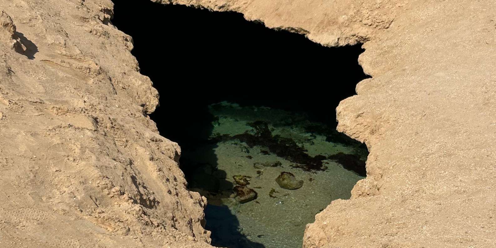 صورة التقييم 2