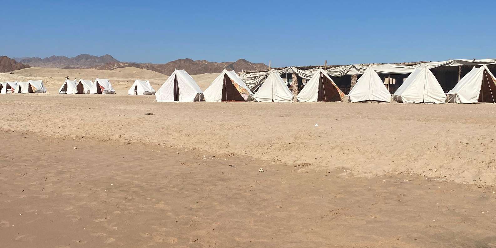 صورة التقييم 2