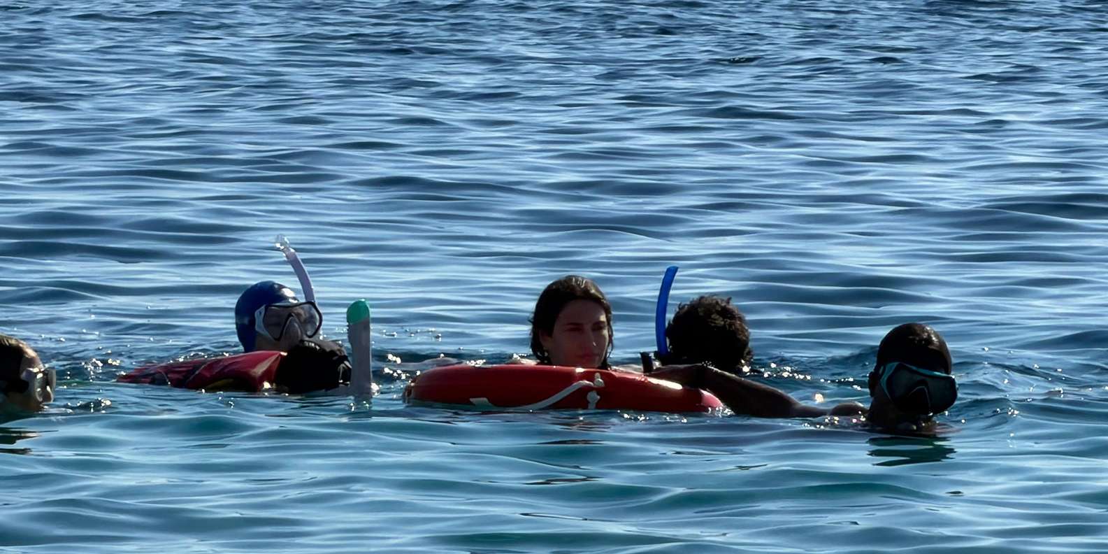 صورة التقييم 1