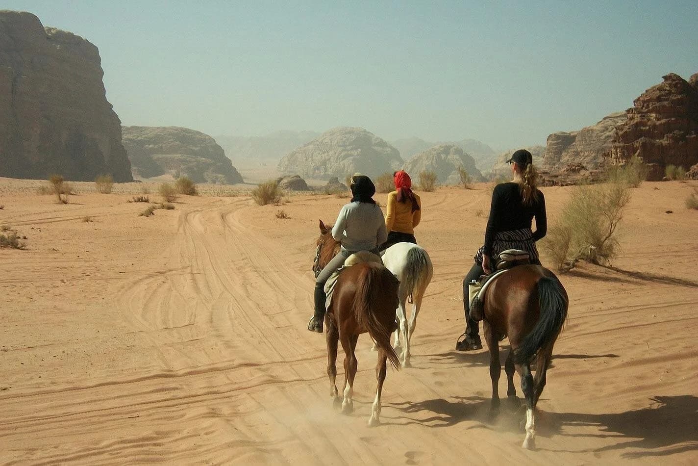 2 hour horseback ride in nabq bay - Image 6