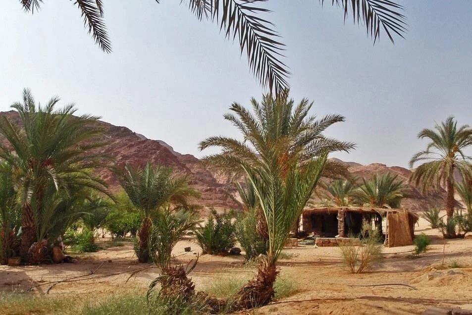 colored canyon and white canyon tour from taba - Image 6