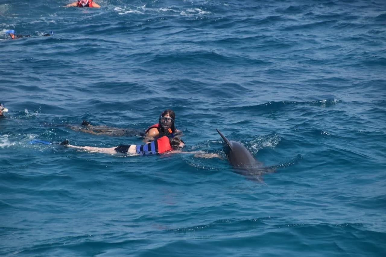 dolphin house and banana boat fun from hurghada - Image 3