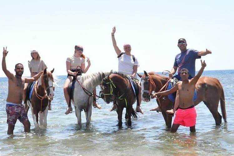 el gouna horse ride tour - Image 5