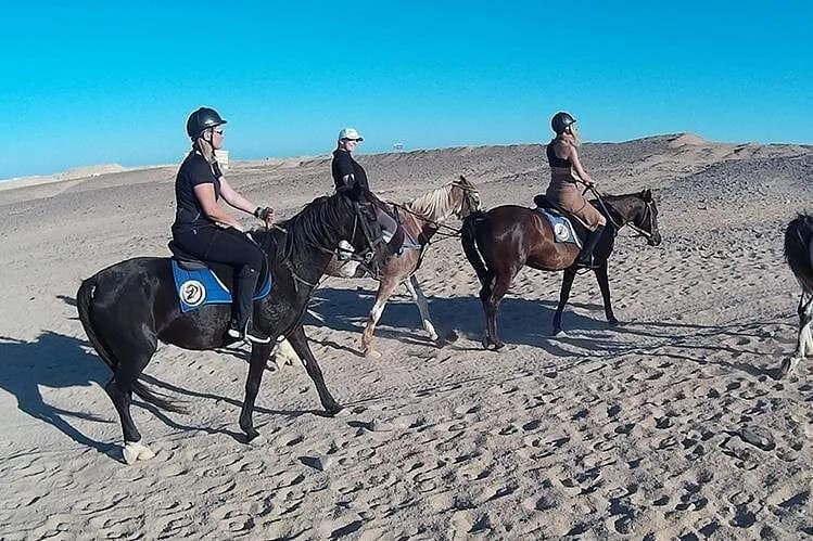 el gouna horse ride tour - Image 6