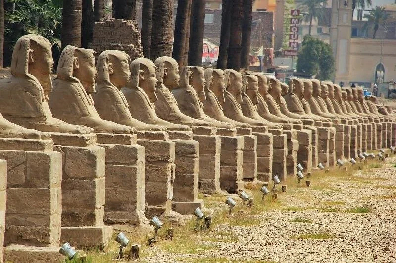 enjoy tour to karnak and luxor temples from luxorhot deal - Image 5