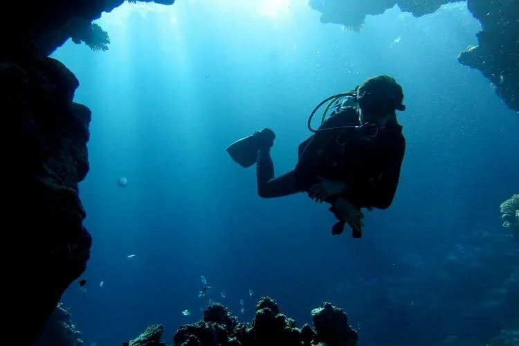 full day hurghada boat trip snorkeling and lunch included - Image 6