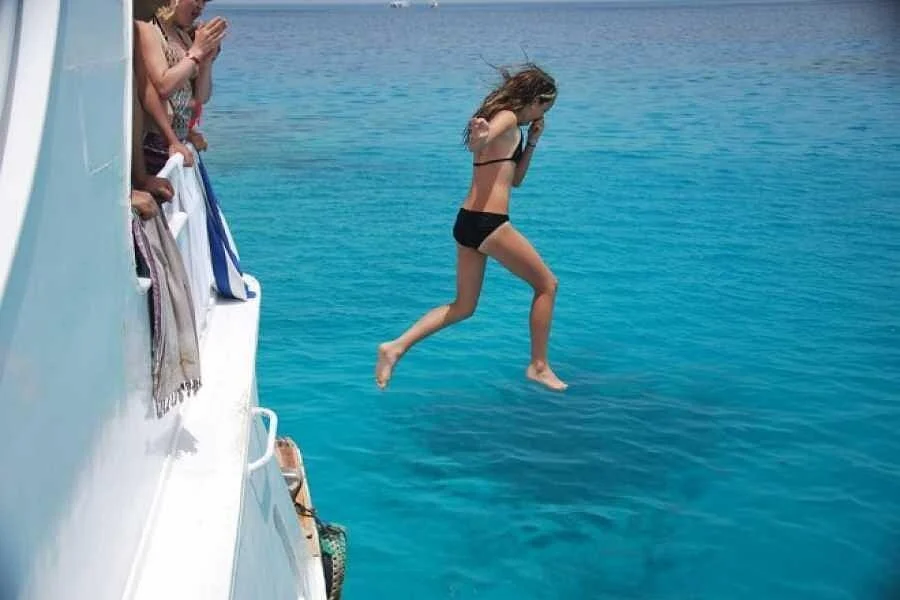 gifton island national park full day snorkeling - Image 2