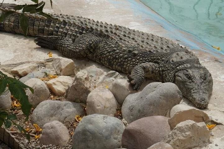 grand aquarium hurghada - Image 5