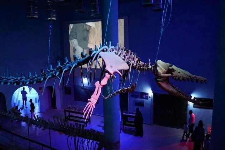 grand aquarium hurghada - Image 6