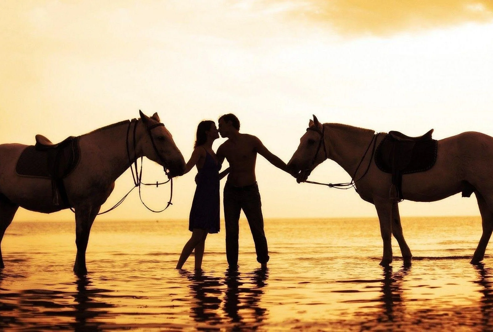 horse camel riding experience in hurghada - Image 2