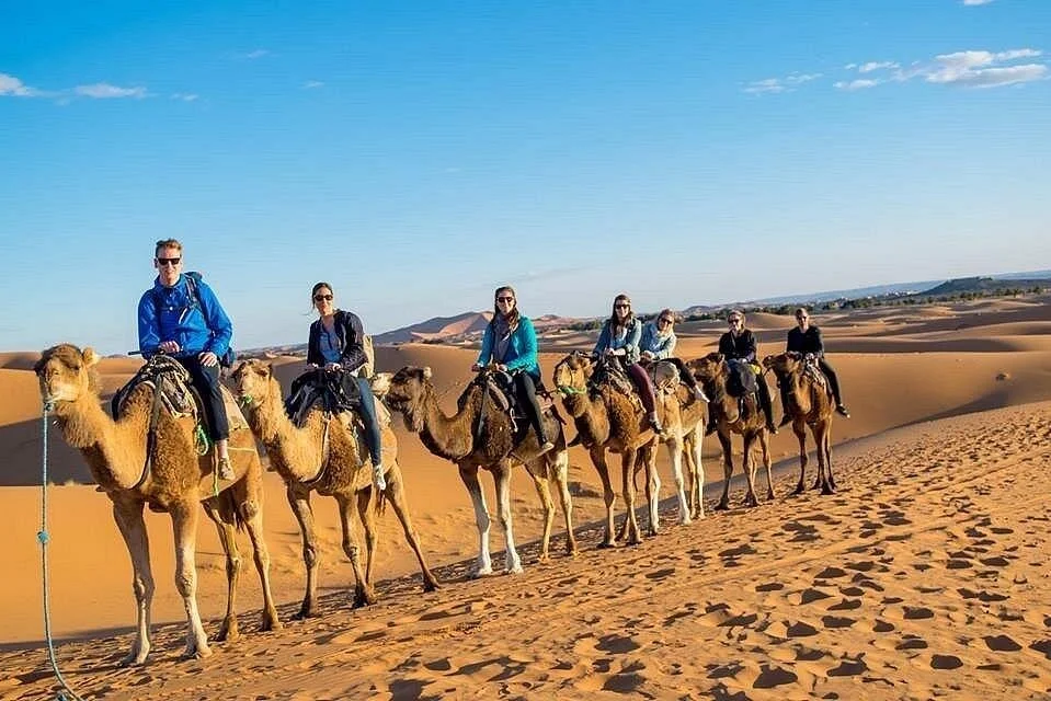 horse camel riding experience in hurghada - Image 6