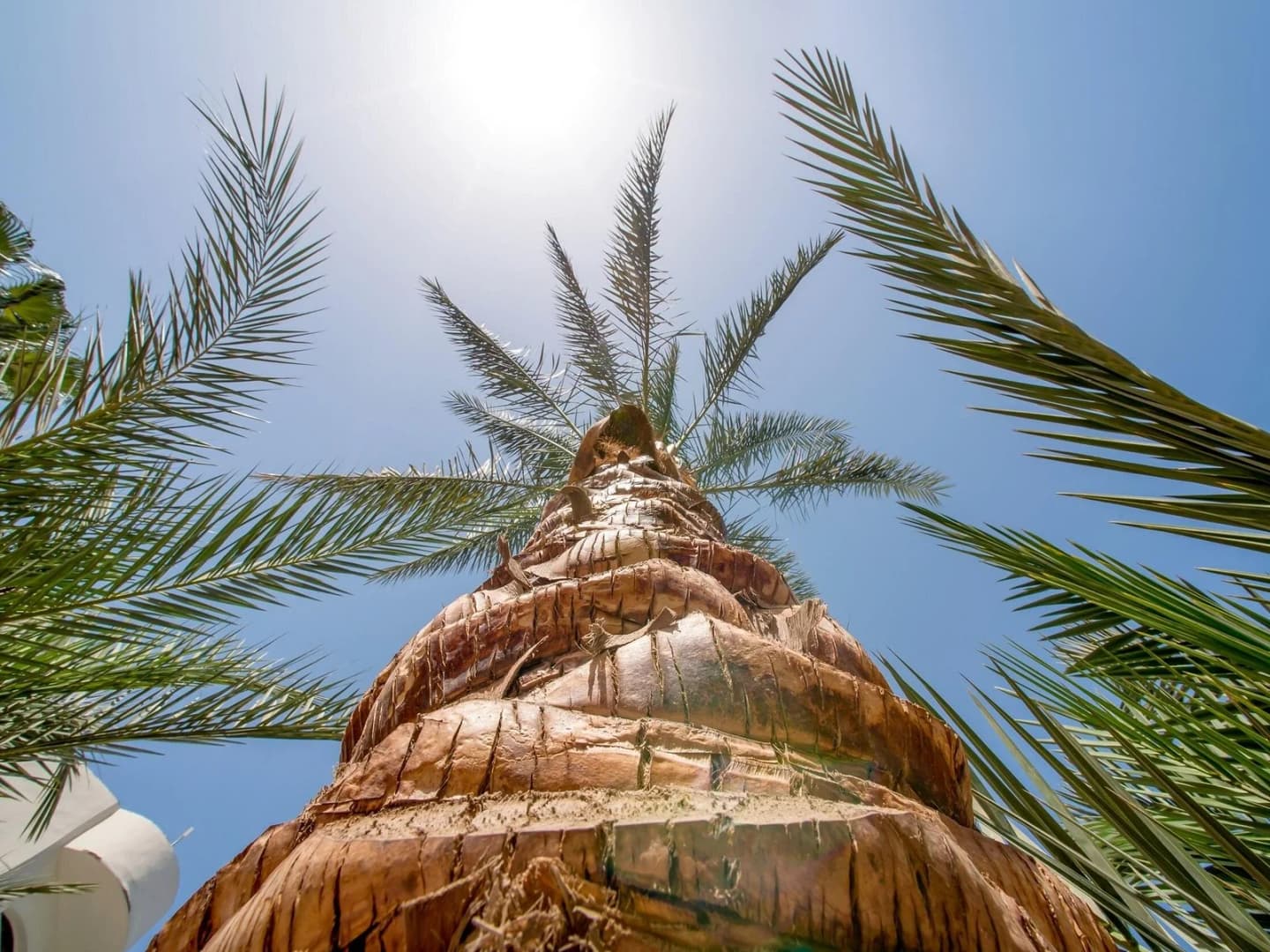 hurghada guided city highlights tour with shopping stops - Image 4