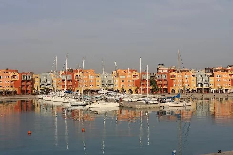 hurghada tour by night with the grand aquarium and dinner - Image 2