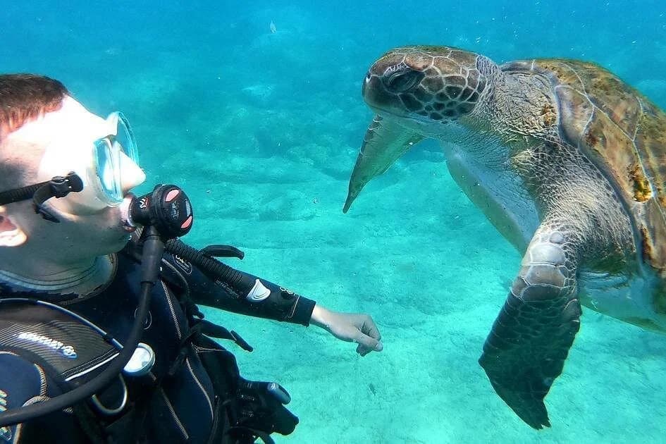 intro scuba diving experience in hurghada - Image 2