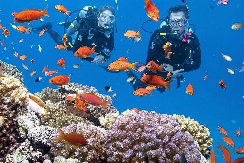intro scuba diving experience in hurghada - Image 3