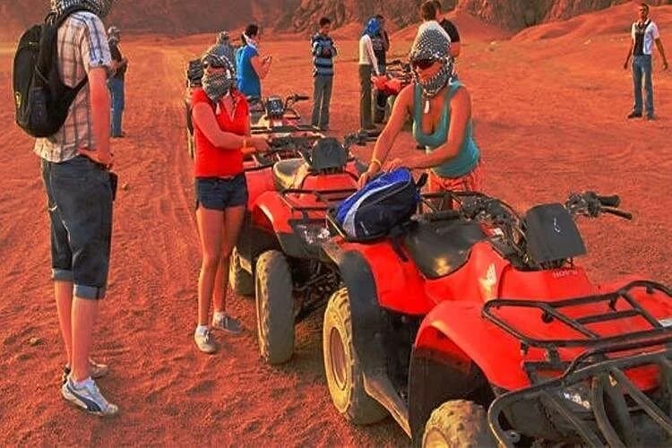 mega safari experience - Image 3