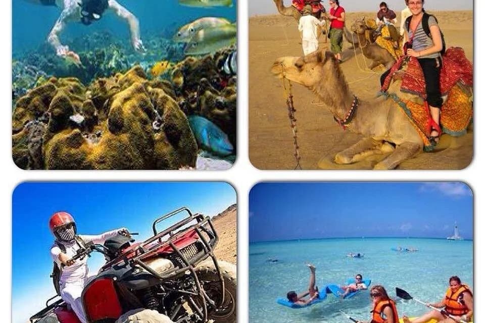 mega safari experience - Image 4