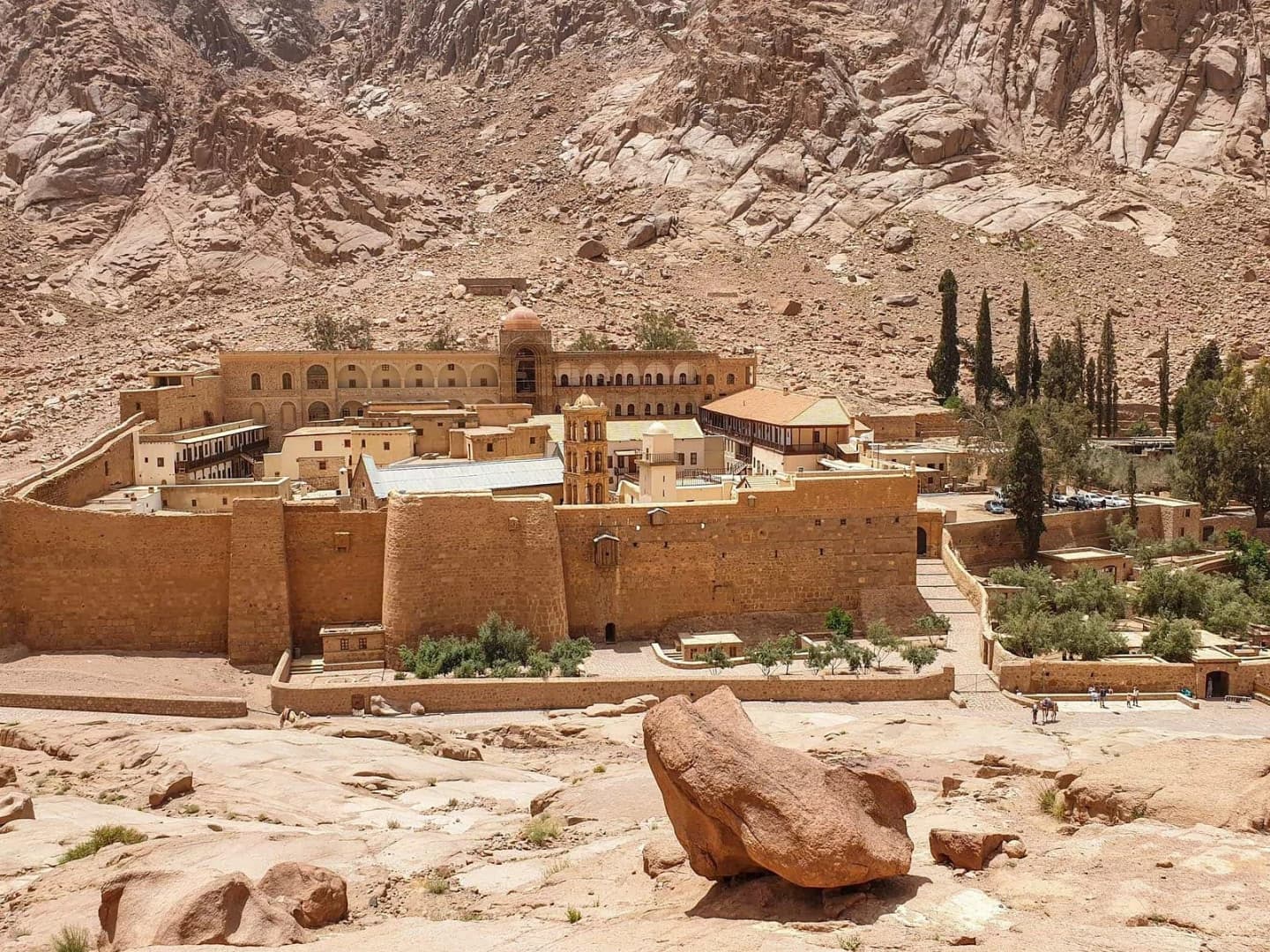 mount sinai tour - Image 5