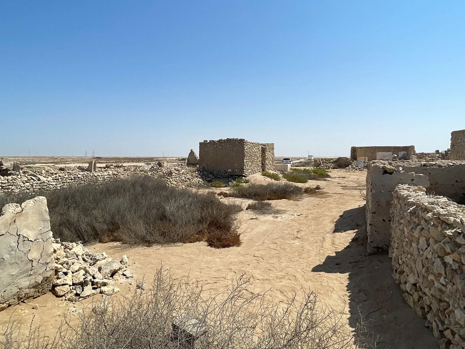 north qatar guided expedition to nature charms - Image 4